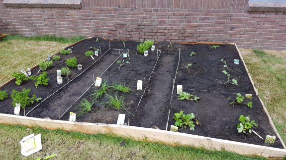 Huisje Boompje Beestje Helmond moestuin