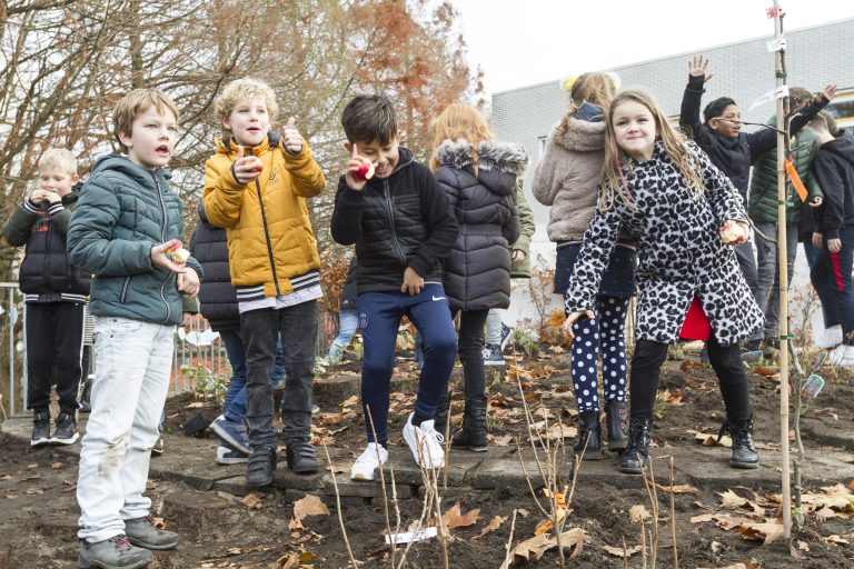 Leren van Voedselbosjes