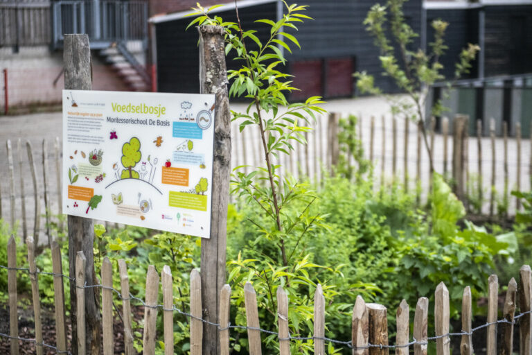 Een informatiebord bij een klein schoolvoedselbos, omheind met houten paaltjes.