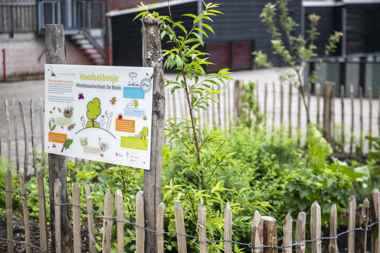 Een informatiebord bij een klein schoolvoedselbos, omheind met houten paaltjes.