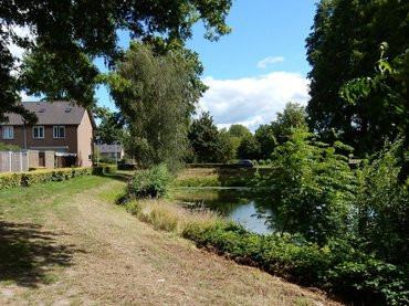 Natuur in de wijk