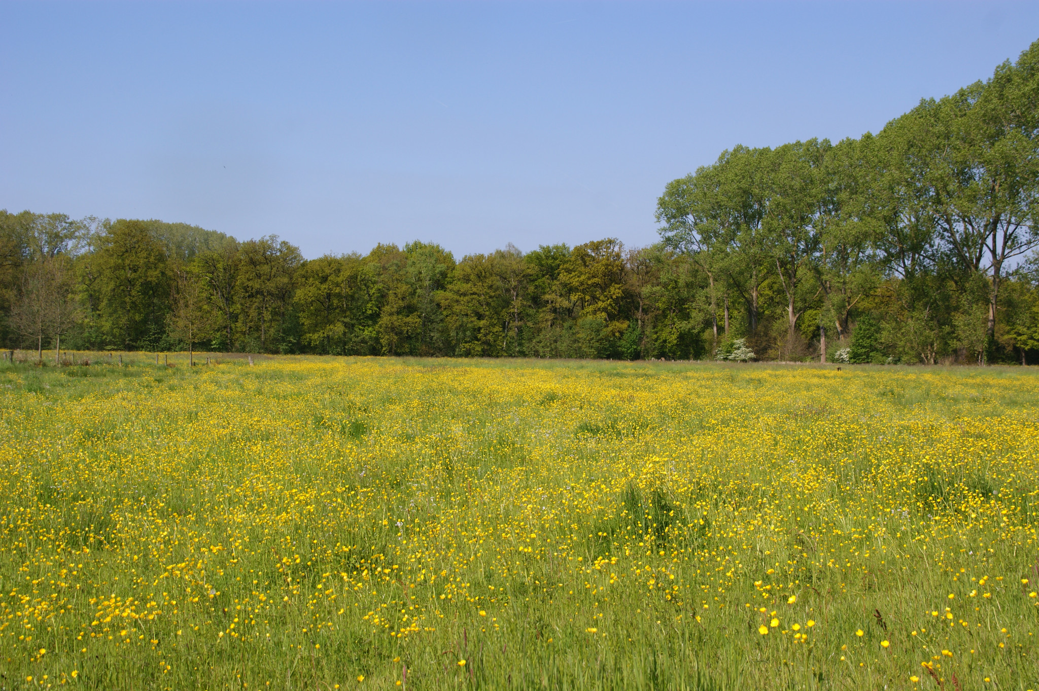 Meer reductie van stikstofdepositie nodig.