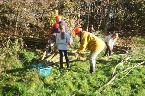 Natuurwerkdag zaterdag 5 november 2022