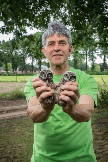 Een steenuil kijkt je echt aan