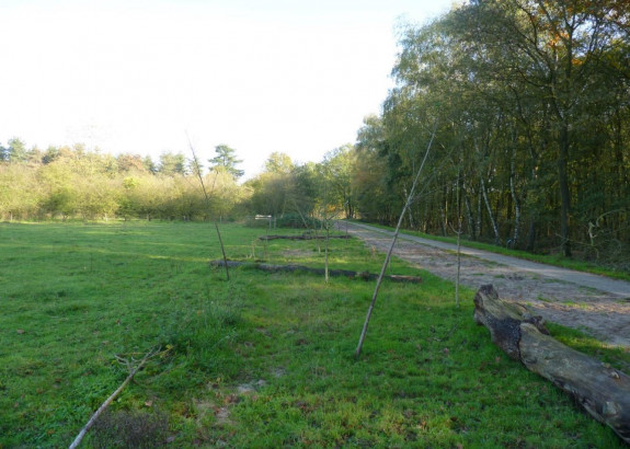herstelplan19