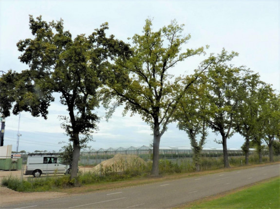 herstelplan6