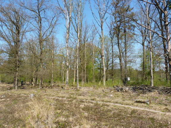 herstelplan7