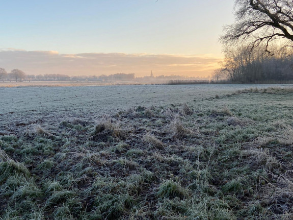 Griendcultuur Kasteel