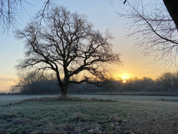 Griendcultuur Kasteel