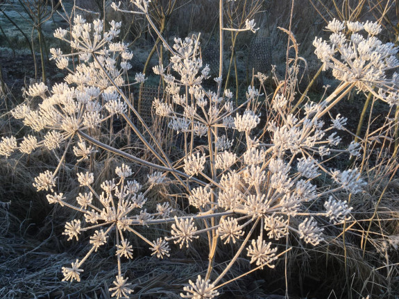 Griendcultuur Kasteel
