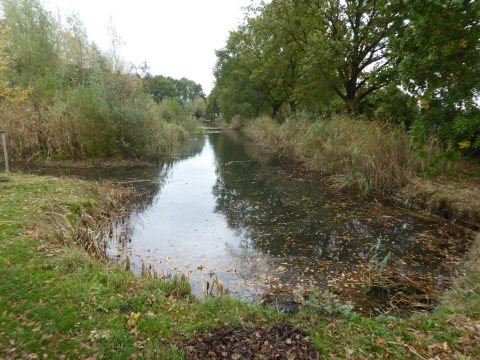 natuurwandeling ‘van oerbos tot d’n Berg