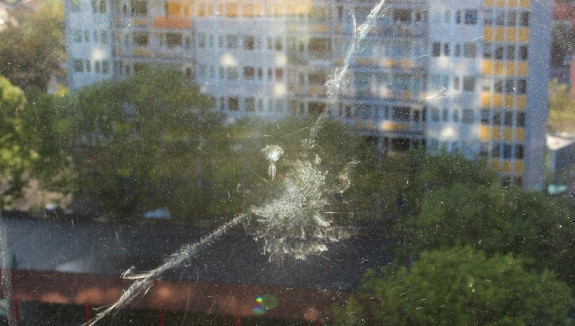 Vogel tegen het raam