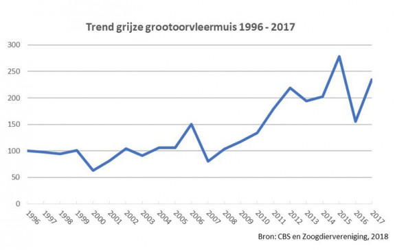 Trend grijze grootoorvleermuis