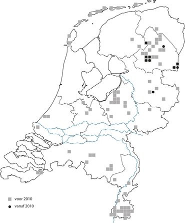 Verspreiding heidehommel in Nederland