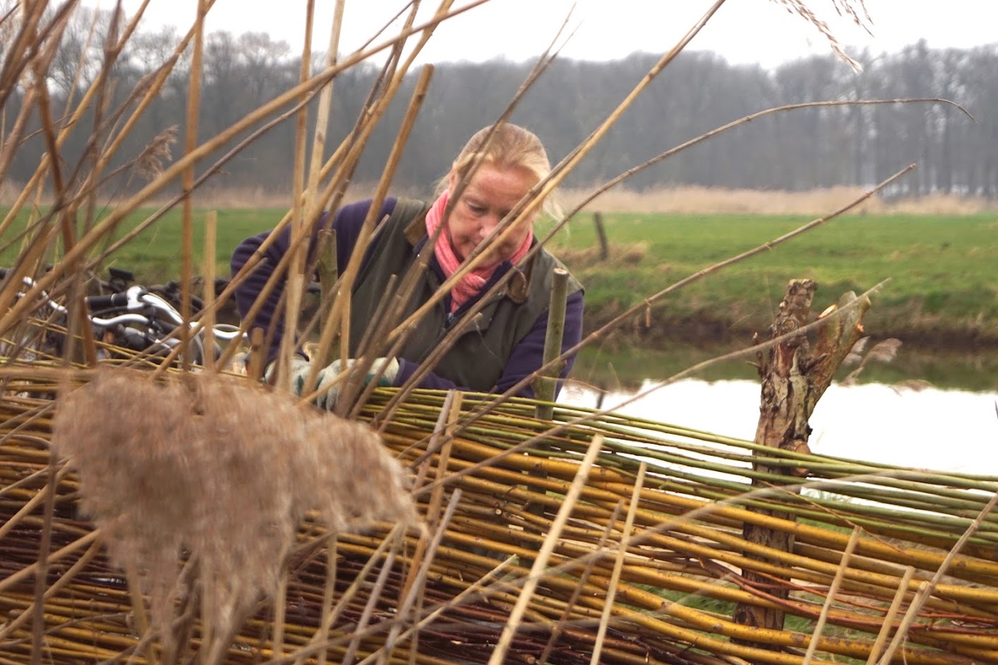 Vrouw weeft rieten hekwerk langs een rivier in landelijk landschap.