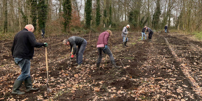 Mensen planten bomen in een bos, omgeven door kale bomen en herfstbladeren.