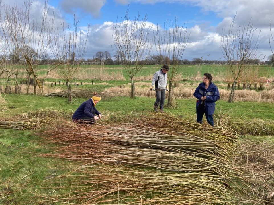 Mensen aan het werken met takken in een veld met bomen onder een bewolkte lucht.