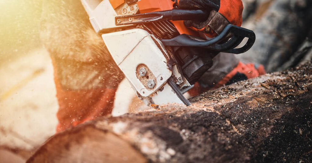 Persoon zaagt hout met kettingzaag in zonlicht.