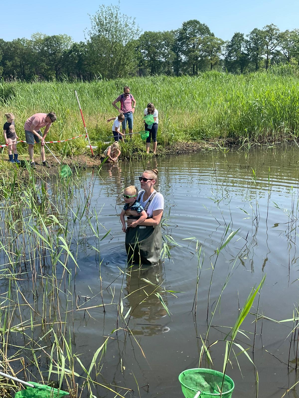 Mensen vangen met kinderen met netten langs een vijver in een natuurgebied.