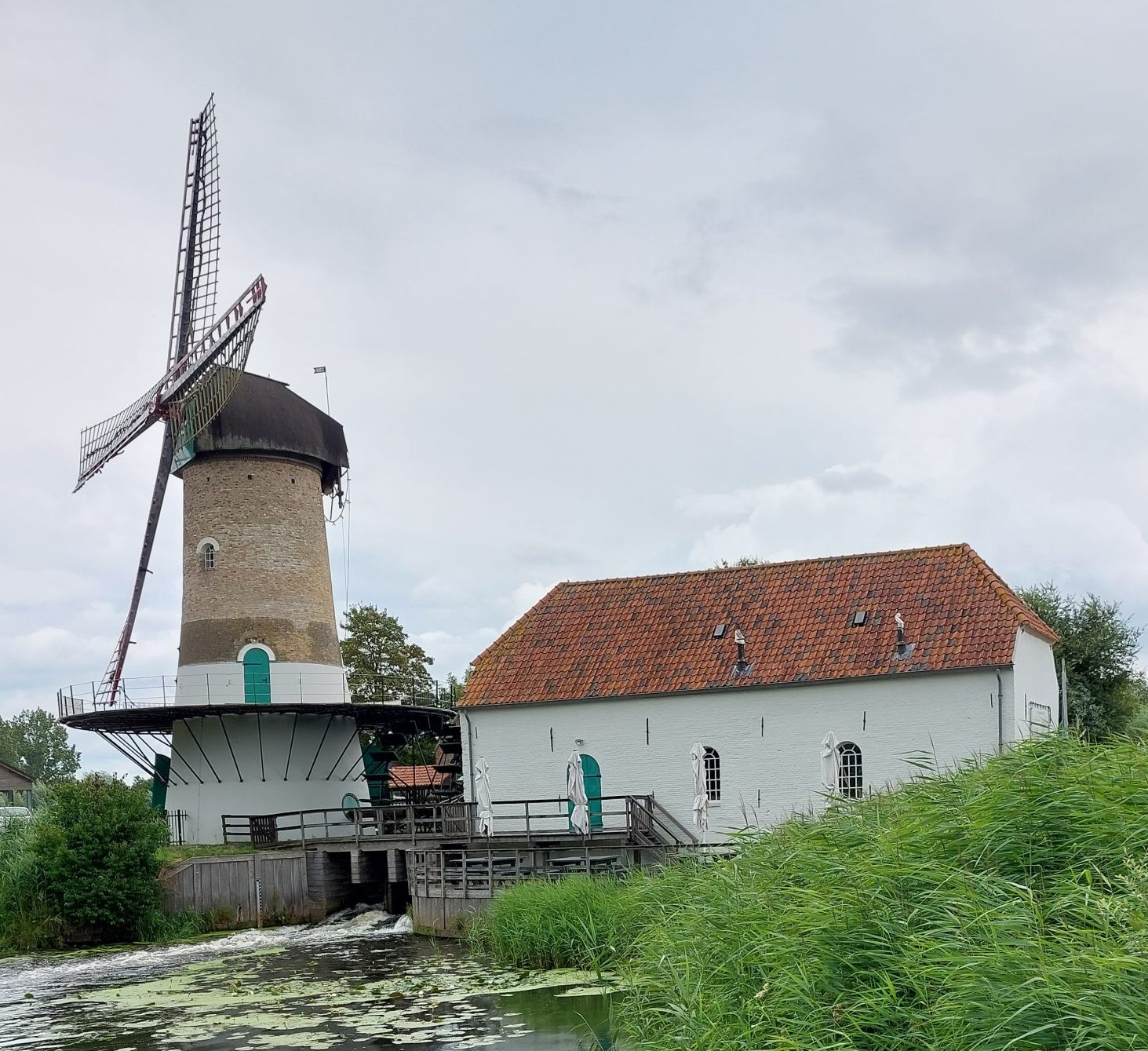 Oude windmolen naast wit gebouw met rode dakpannen aan het water, omgeven door riet.