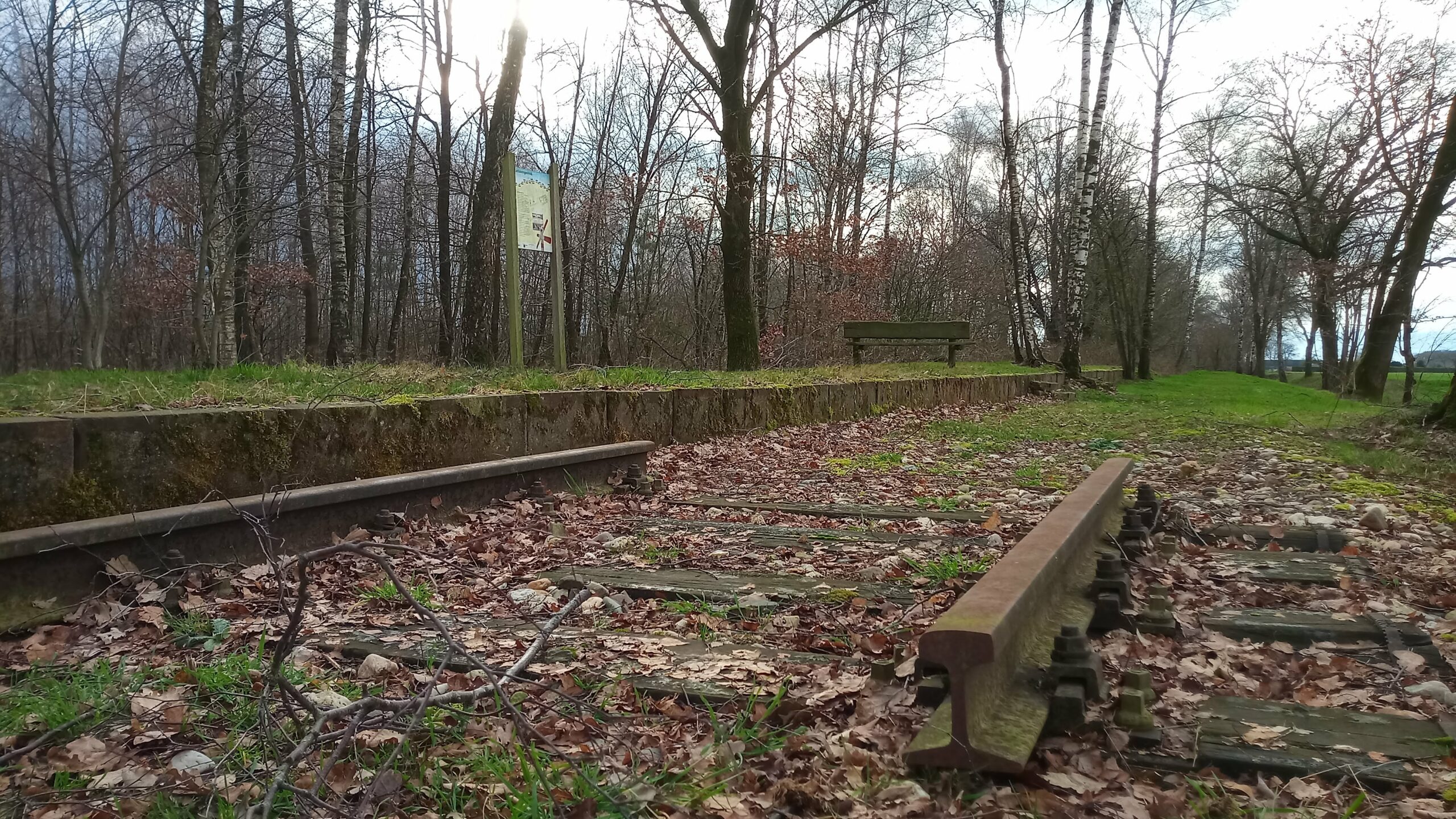Verlaten spoorrails bedekt met bladeren, naast bankje en bord, omgeven door kale bomen in herfstlandschap.