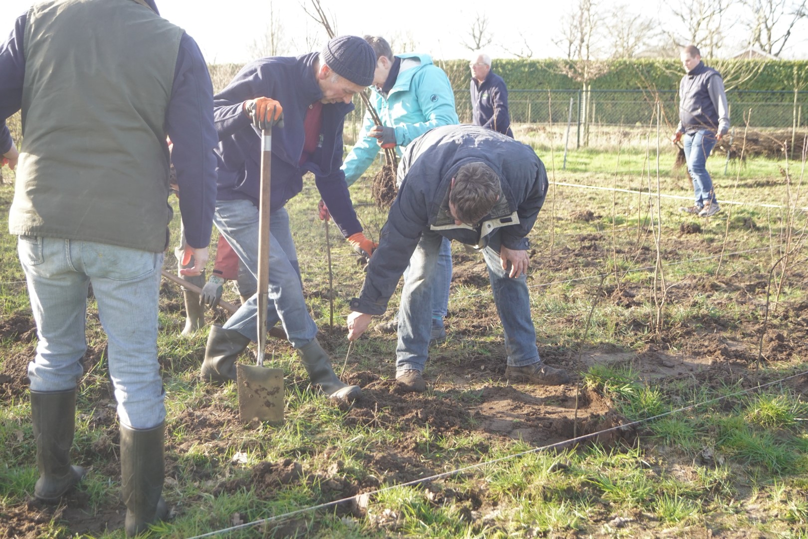 Mensen planten jonge bomen in een grasveld op een zonnige dag. Ze dragen laarzen en gebruiken schoppen.