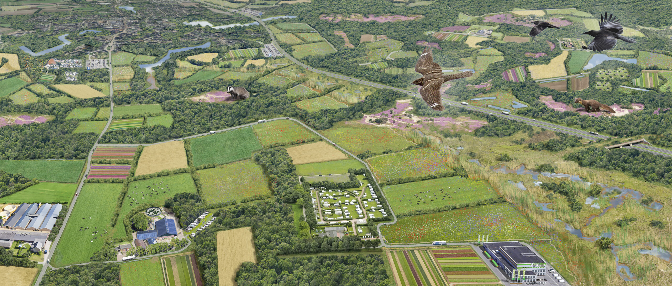 Luchtfoto van een groen landschap met velden, bossen, wegen en vliegende vogels.