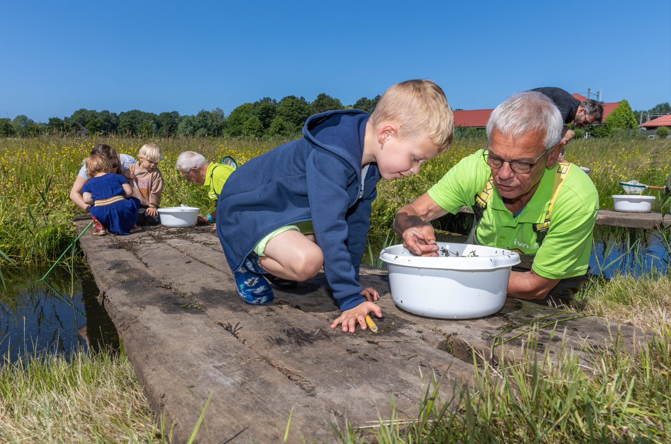 Kinderen en een oudere man onderzoeken waterleven in witte bakken op een steiger in een groene omgeving.