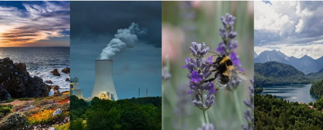 Een zee bij zonsondergang, een rokende schoorsteen, een bij op lavendel en een berglandschap met meer.