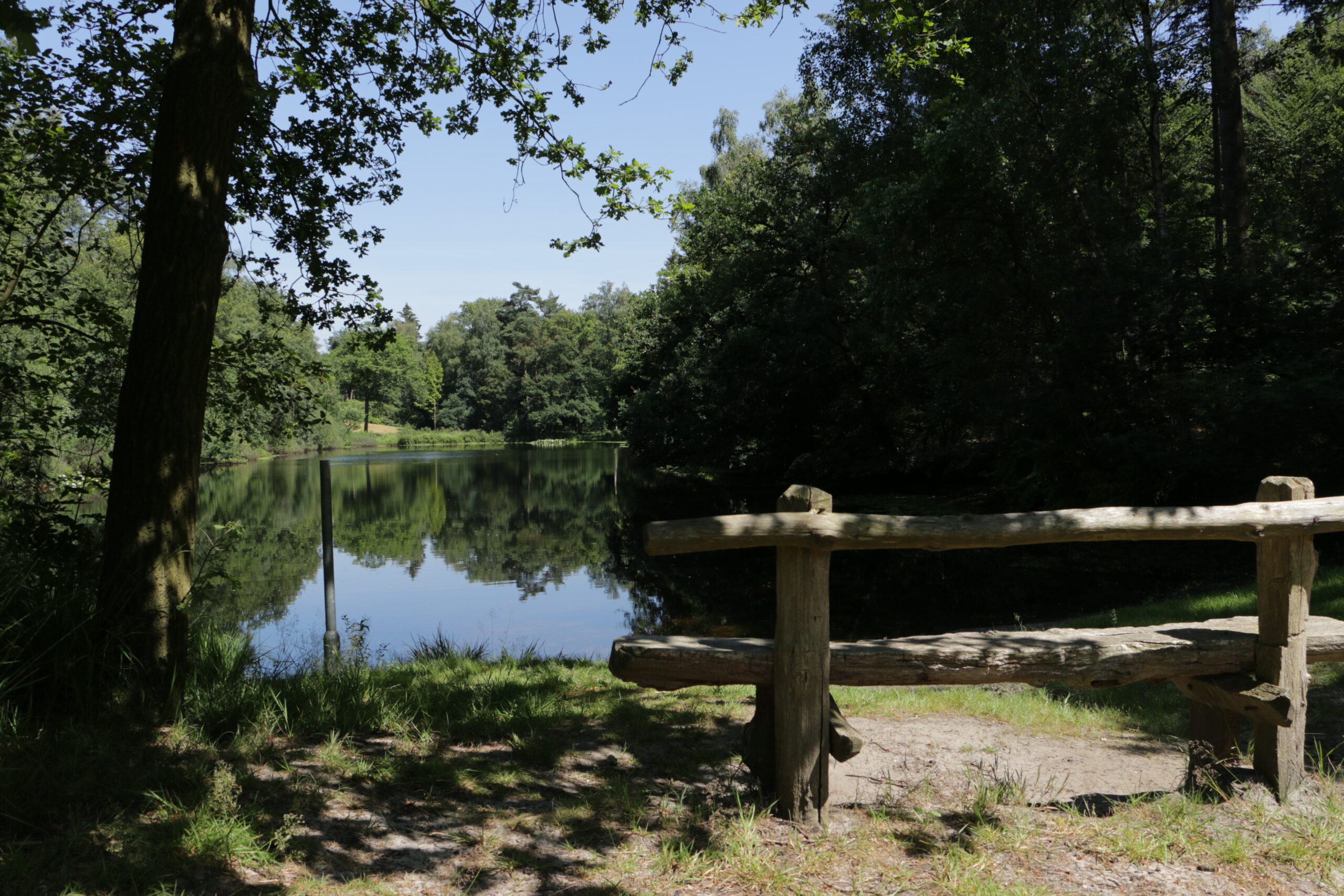 Bosrijke omgeving met een houten bankje aan de oever van een kalm, weerspiegelend meer.