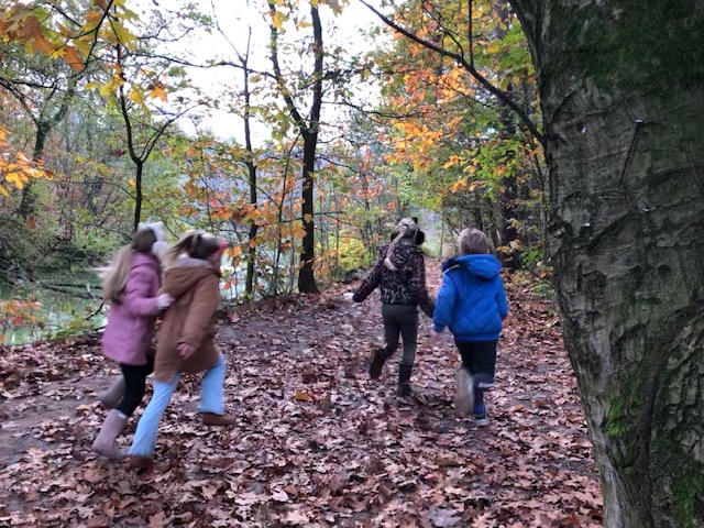 Vier kinderen rennen door een herfstbos, bladrijke grond onder kleurrijke bomen.