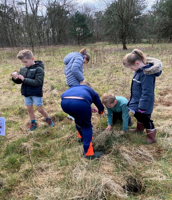 Kinderen zoeken samen naar iets op een grasveld in een bosrijke omgeving.
