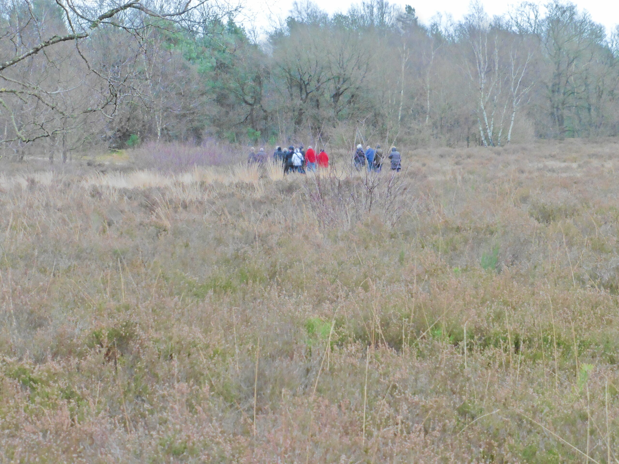 Een groep wandelaars op een open veld met bomen op de achtergrond.