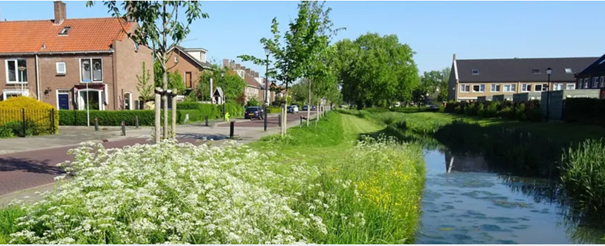 Woonwijk met grasveld en bloemen naast een smal kanaal, huizen en bomen op de achtergrond.
