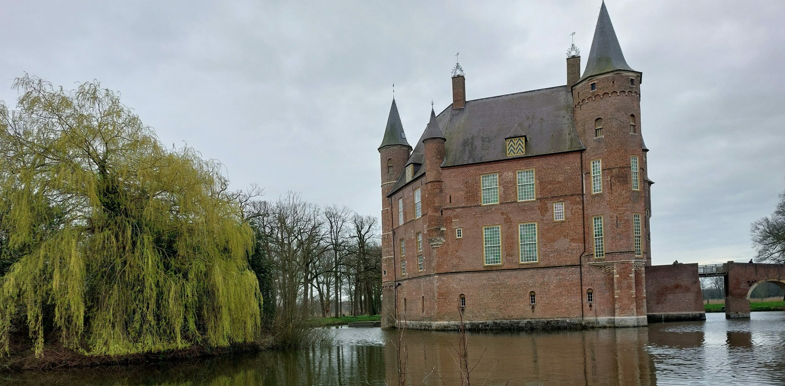 Bakstenen kasteel met torens naast een vijver, met een grote wilg op de voorgrond.