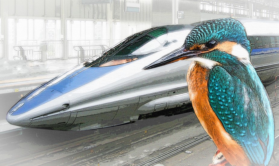 IJsvogel naast een hogesnelheidstrein op een perron, beide met vergelijkbaar gestroomlijnd design.