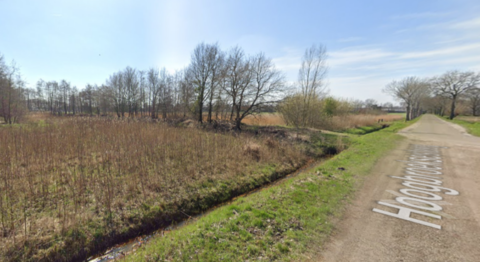 Landweg naast een grasveld en bomen, onder een heldere blauwe lucht.