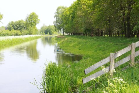 Rustig kanaal met gras en bloemen aan de oever, omringd door bomen en een houten hek.