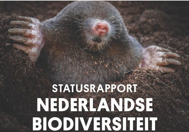 Een mol steekt uit de grond, met tekst: "Statusrapport Nederlandse biodiversiteit".