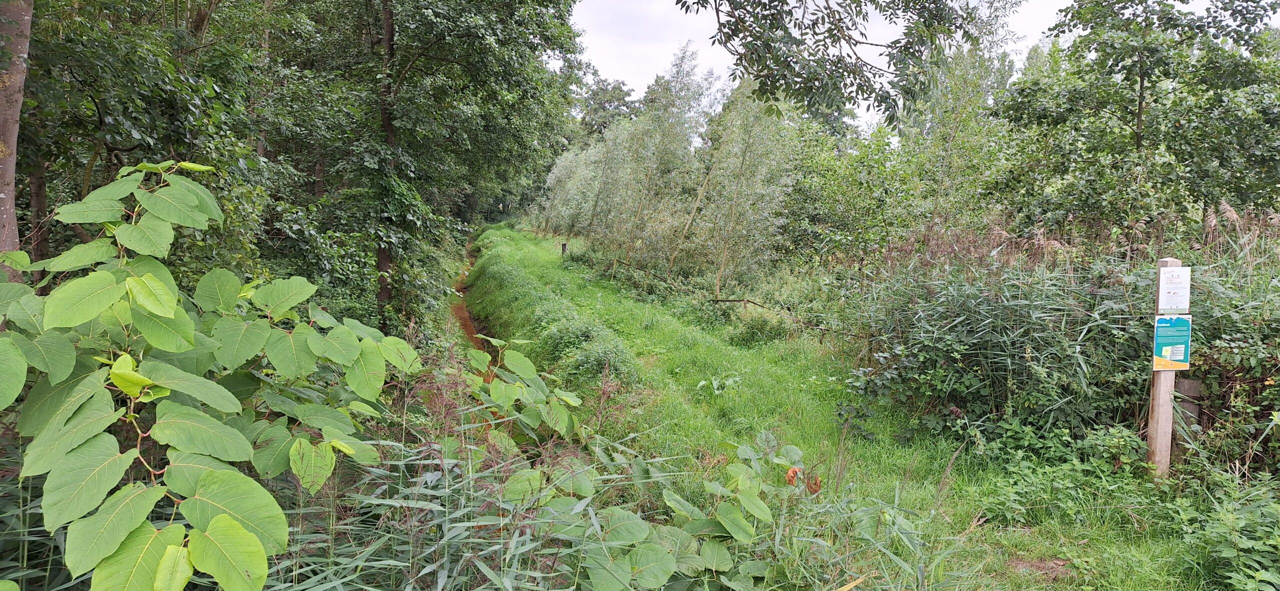 Bosrijke omgeving met smal beekje en groen bordje langs de kant van het pad.