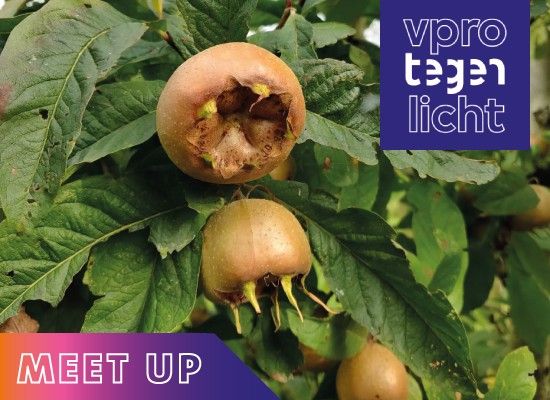 Medlar fruit aan boomtak, met "VPRO Tegenlicht" en "Meet Up" logo's in de hoeken.