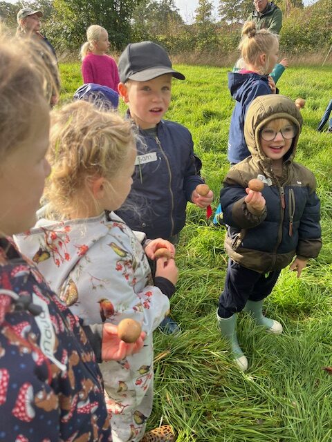 Kinderen verzamelen kastanjes in een grasveld, gekleed in herfstkleding.