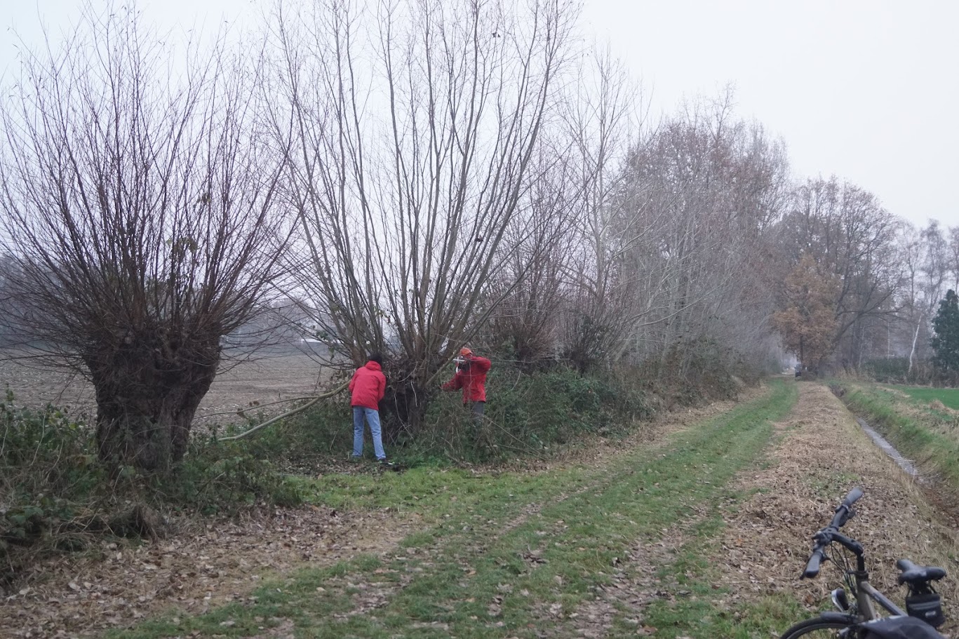 Twee mensen snoeien bomen langs een landelijk pad met een fiets op de voorgrond.