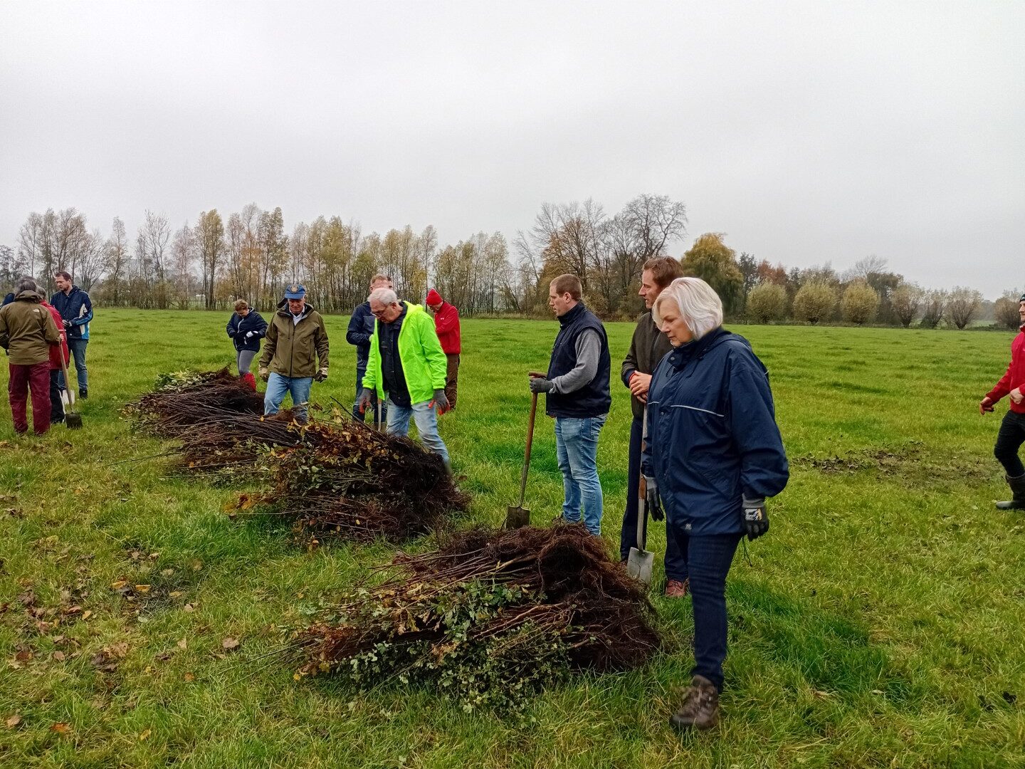 Mensen planten jonge bomen op een grasveld tijdens een boomplant-activiteit.