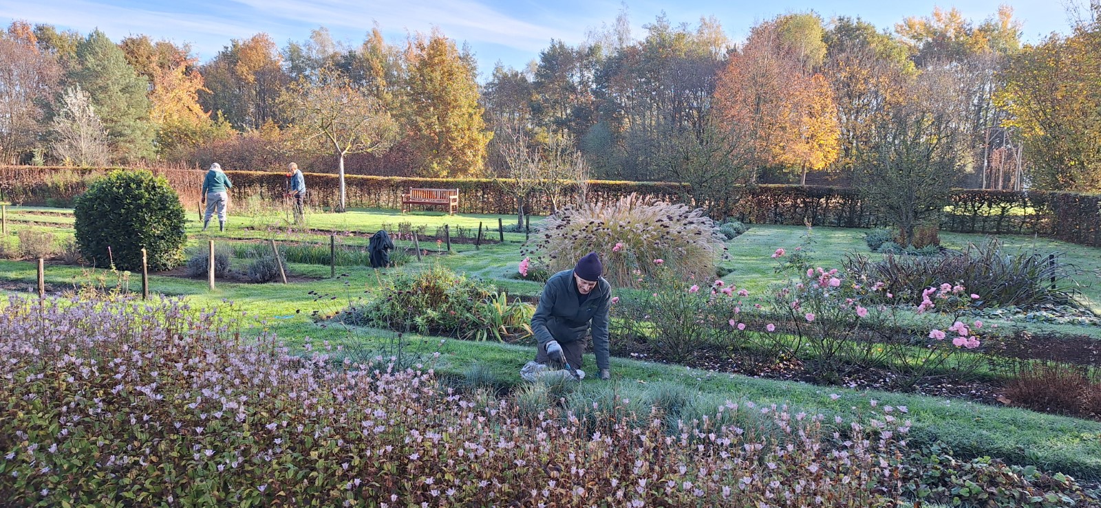 Drie mensen tuinieren in een herfsttuin met bloeiende planten en herfstbladeren.