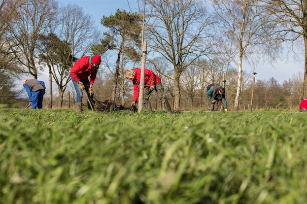 Mensen in rode kleding planten bomen op een grasveld onder een blauwe lucht.
