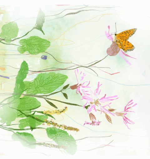 Illustratie van groene bladeren, roze bloemen en een oranje vlinder op een zachte, aquarelachtige achtergrond.