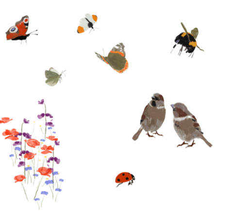 Illustratie van bloemen, vlinders, bij, lieveheersbeestje en twee mussen op een witte achtergrond.