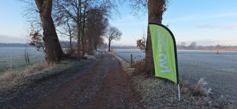 Landweg met bomen in winterlandschap; groene vlag aan boom, licht bevroren velden rondom.