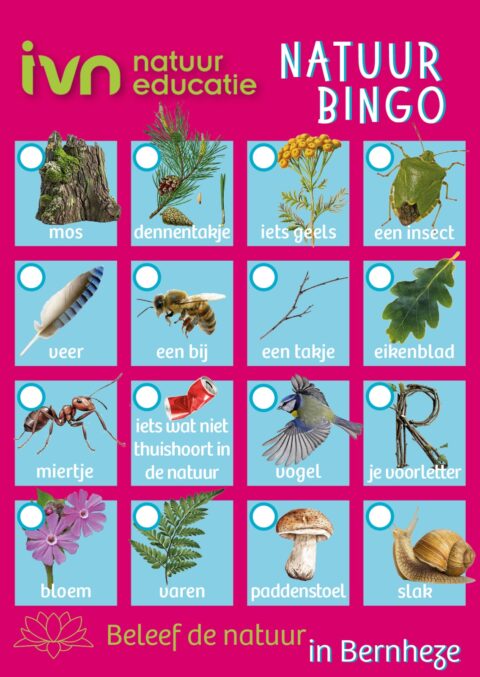 Natuur Bingo kaart met diverse natuuritems zoals mos, dennentakje, bij, vogel, bloem en paddenstoel.